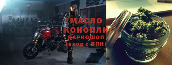 сатива Новокубанск
