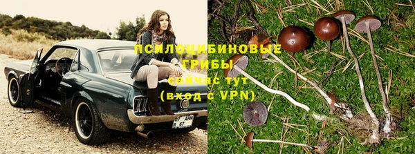 герыч Новозыбков