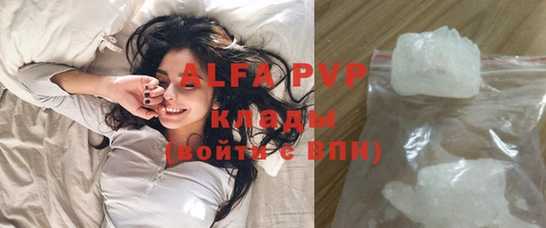 сатива Новокубанск