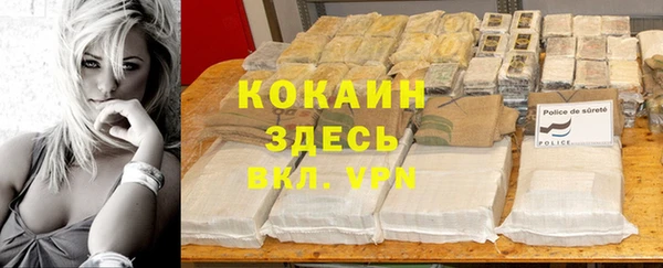 сатива Новокубанск