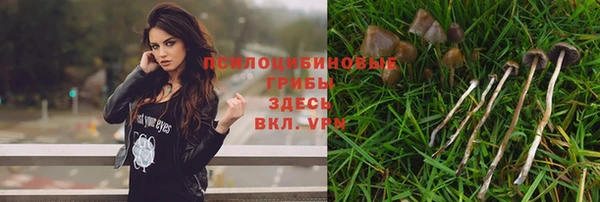 твердый Нязепетровск