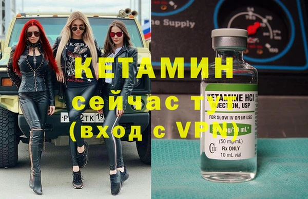 сатива Новокубанск