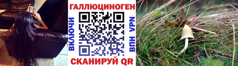 Псилоцибиновые грибы MAGIC MUSHROOMS  Пошехонье 